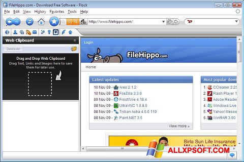 Ekrānuzņēmums Flock Windows XP