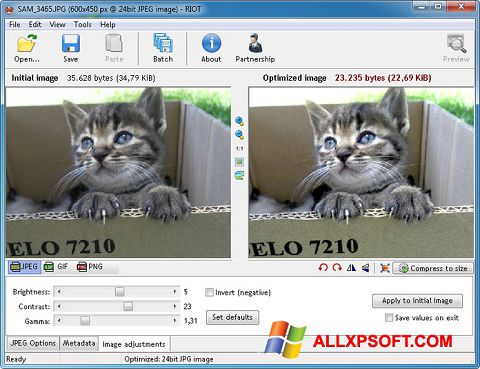 Ekrānuzņēmums RIOT Windows XP